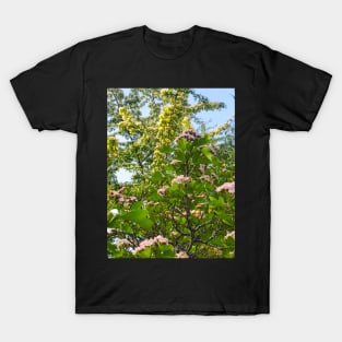 Spring Bloom T-Shirt